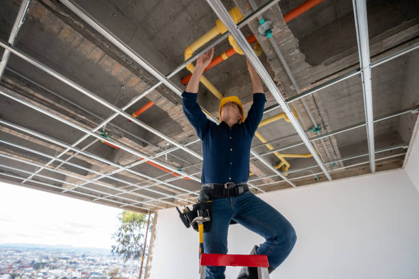 Best Commercial Plumbing Services  in Lisle, IL