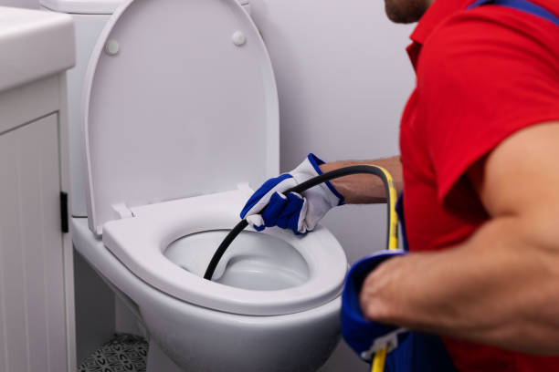 Best Shower Repair Services  in Lisle, IL