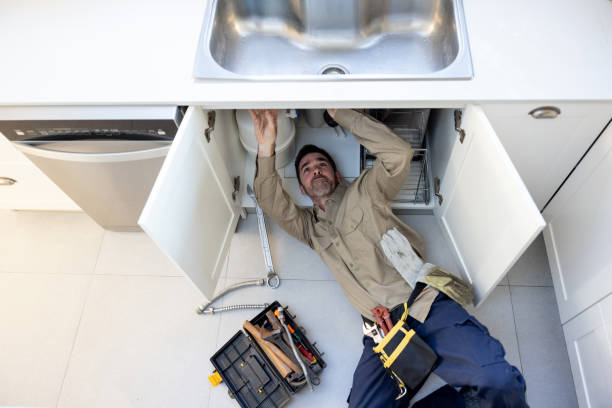 Best Clogged Drain Plumber  in Lisle, IL
