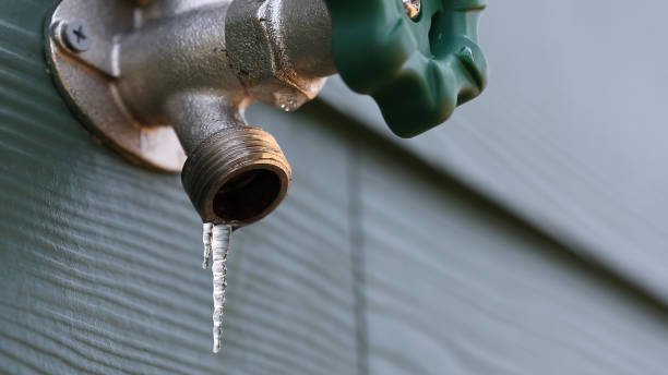 Best Affordable Plumbing Services  in Lisle, IL