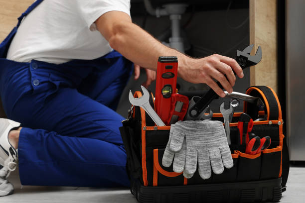 Best Water Leak Repair  in Lisle, IL