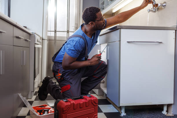 Best Emergency Plumber  in Lisle, IL