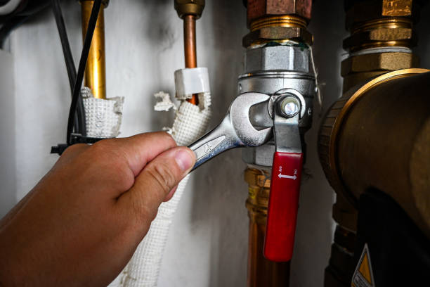 Best Commercial Plumbing Services  in Lisle, IL